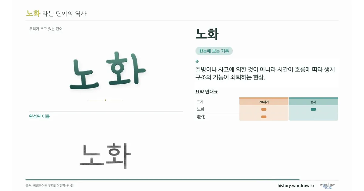 노화 대표 이미지