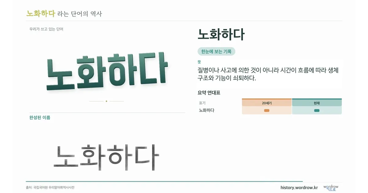 노화하다 대표 이미지