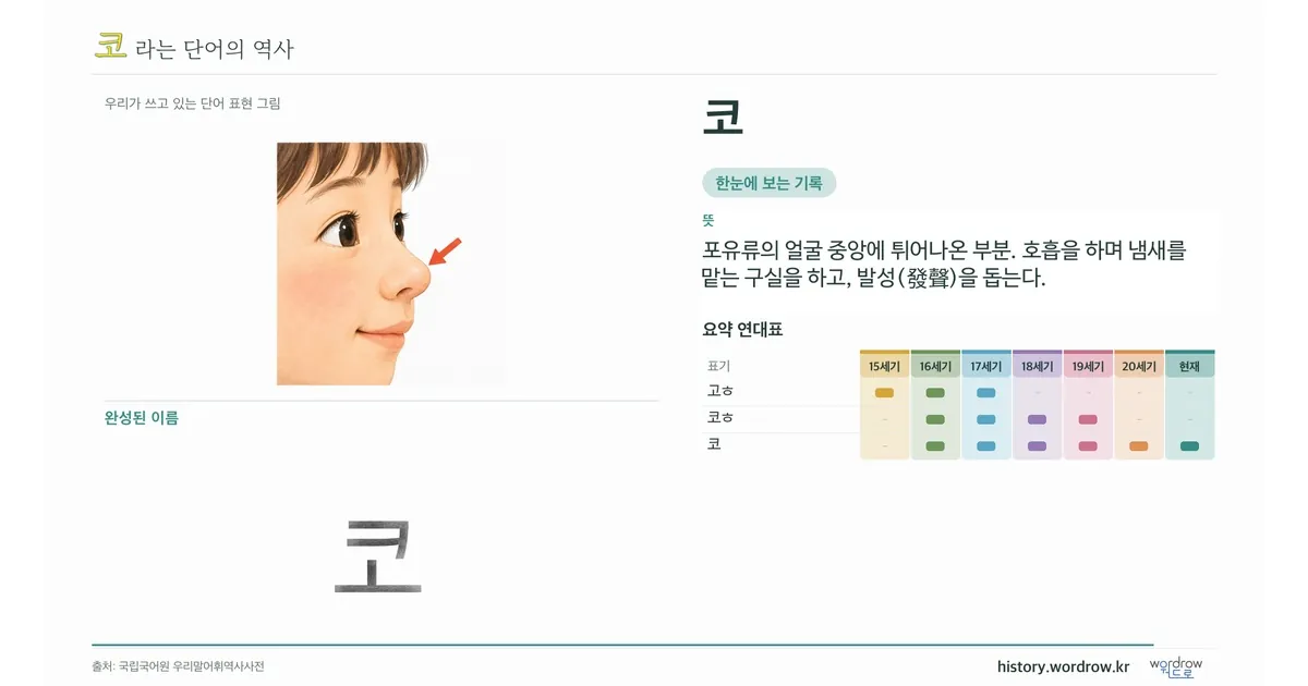 코 대표 이미지