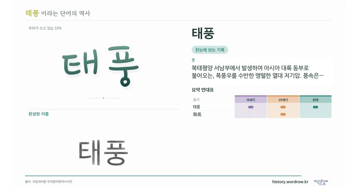 태풍 대표 이미지
