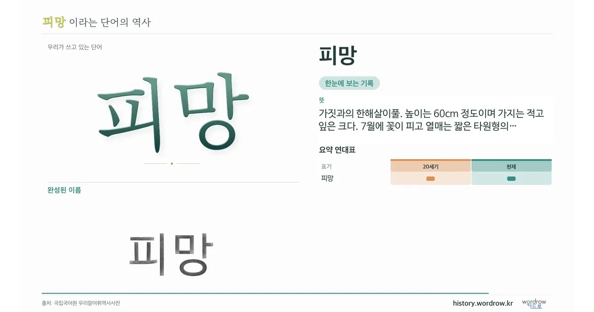 피망 대표 이미지