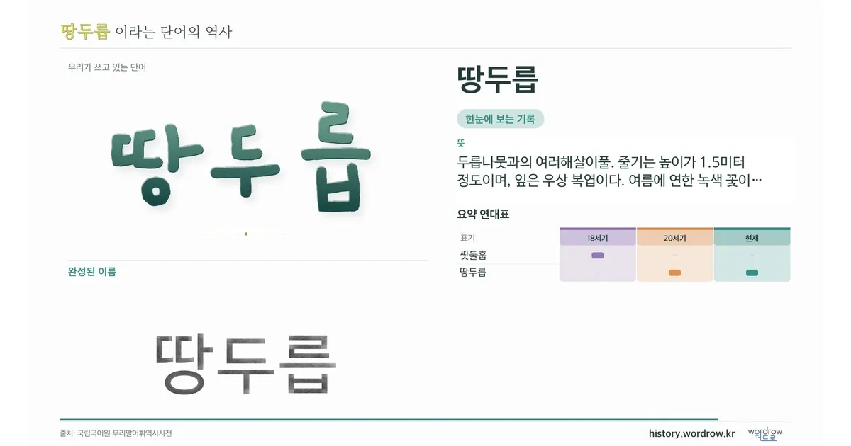 땅두릅 대표 이미지