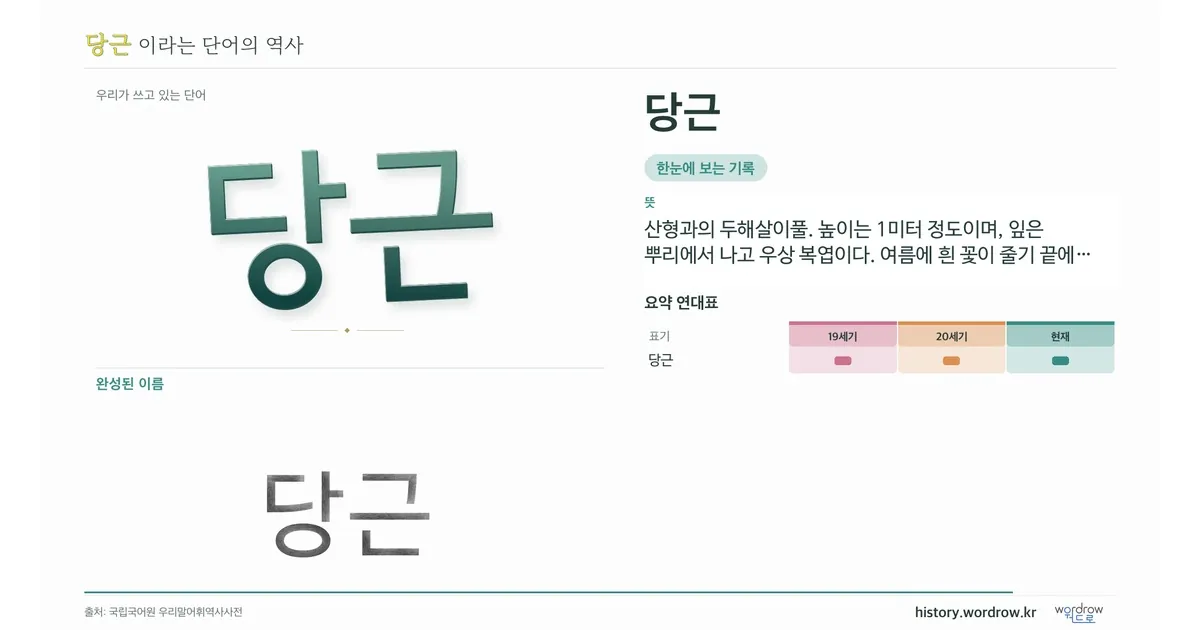 당근 대표 이미지
