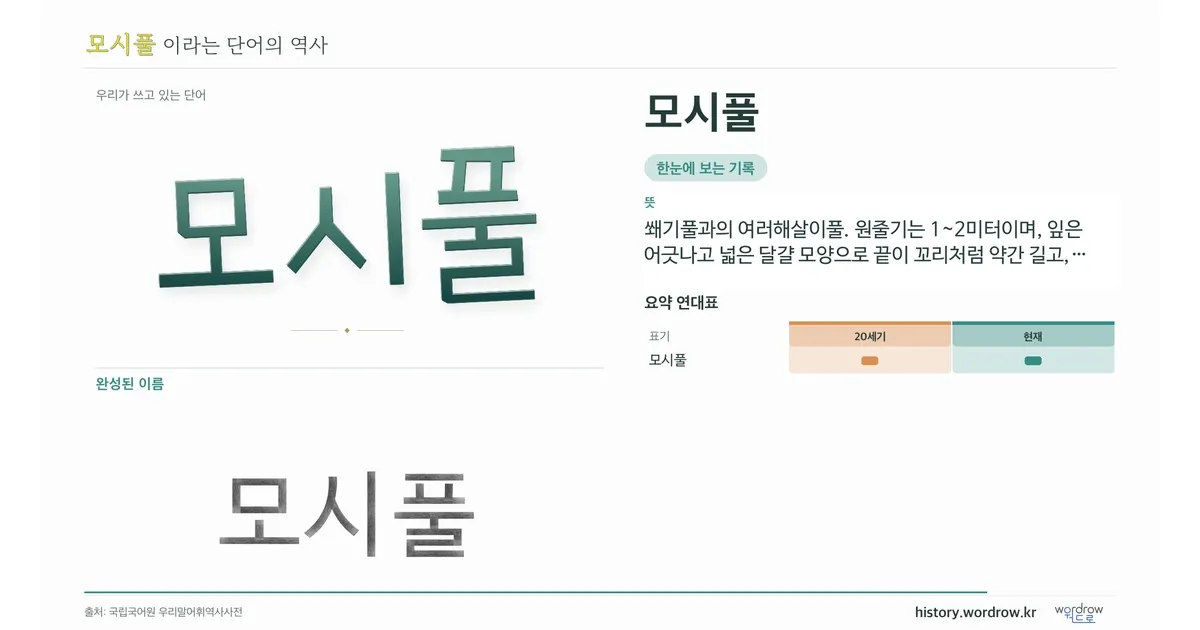 모시풀 대표 이미지