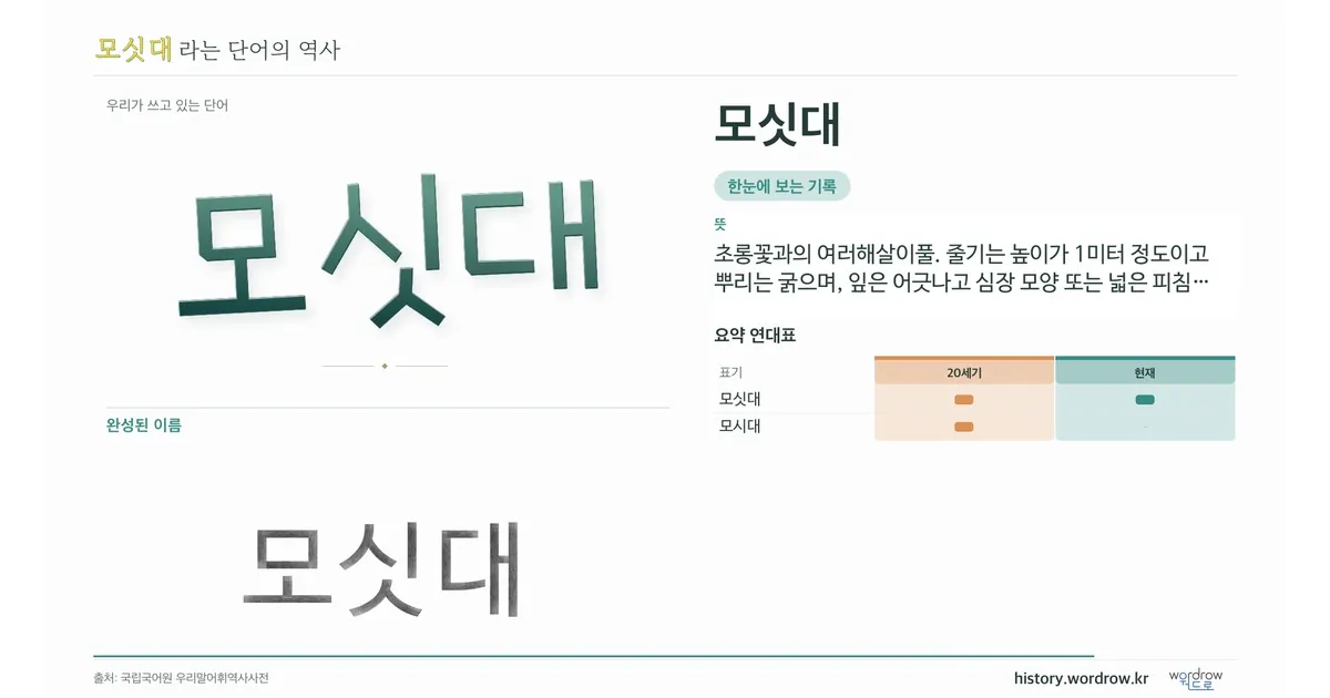 모싯대 대표 이미지