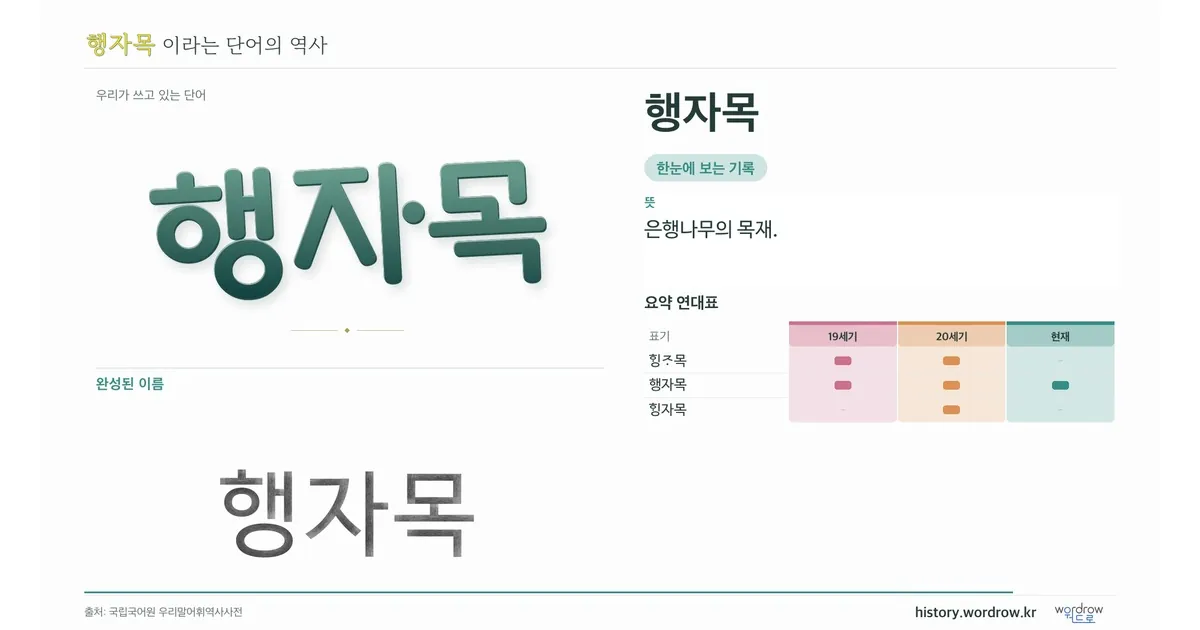 행자목 대표 이미지