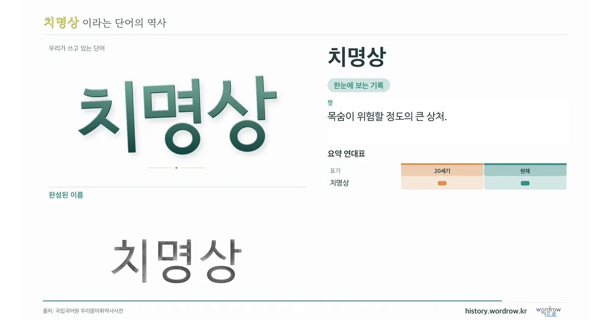 치명상 대표 이미지