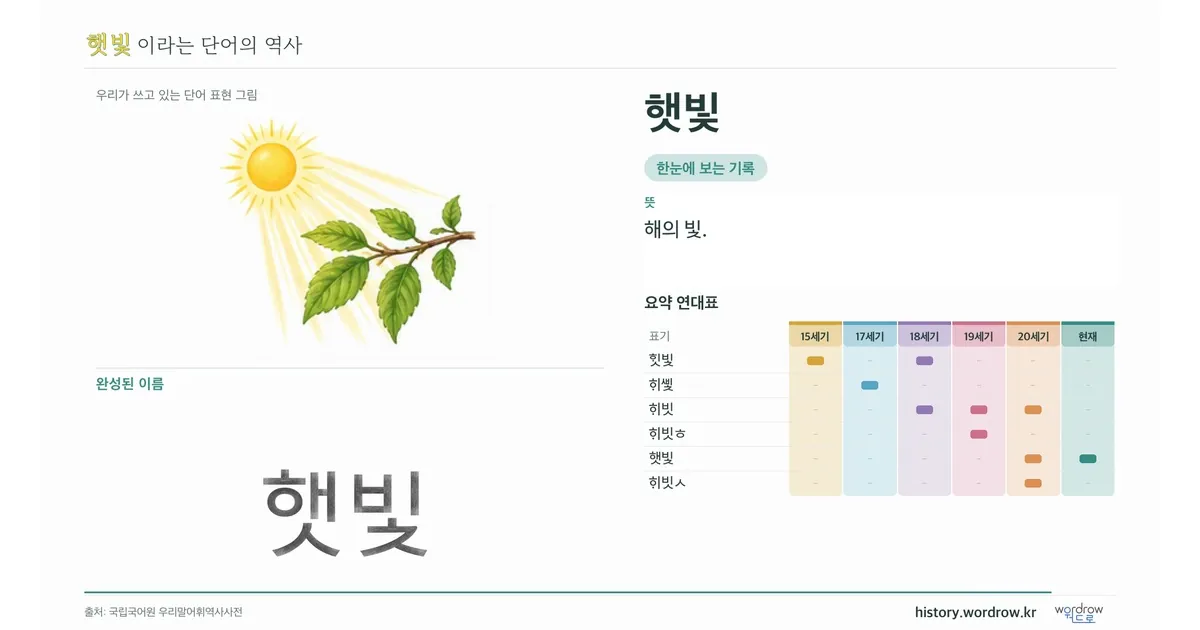 햇빛 대표 이미지
