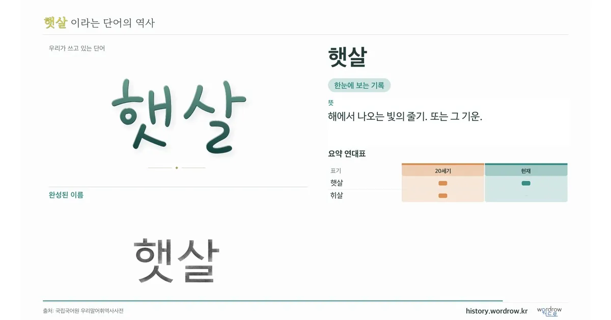 햇살 대표 이미지