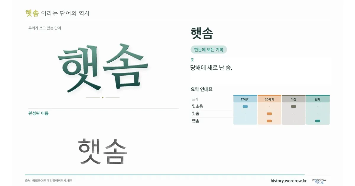 햇솜 대표 이미지