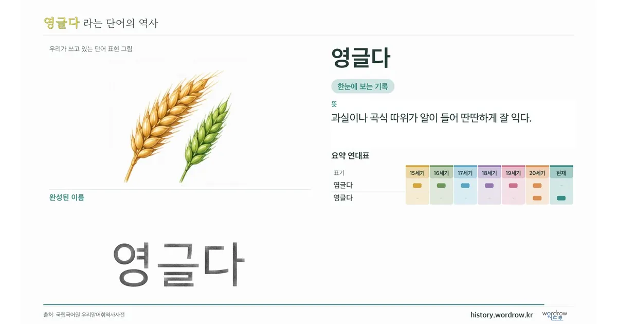영글다 대표 이미지