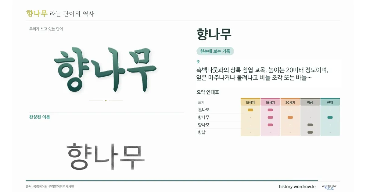 향나무 대표 이미지