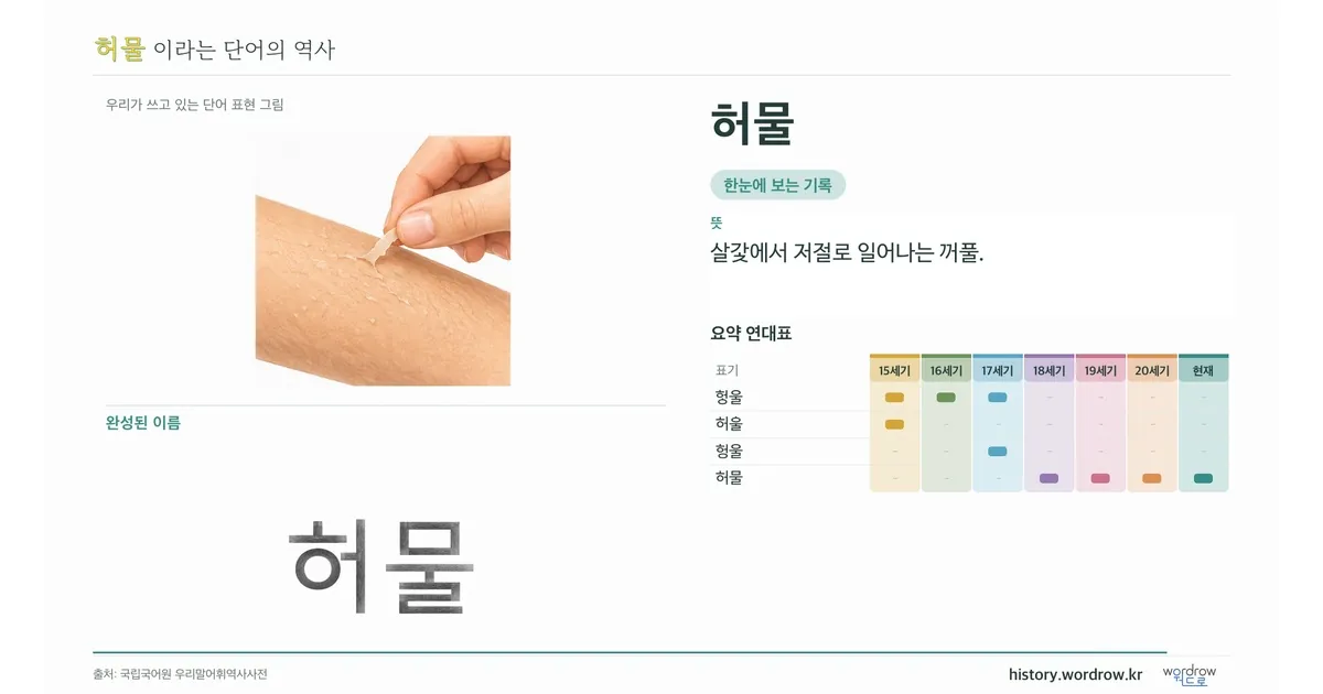 허물 대표 이미지
