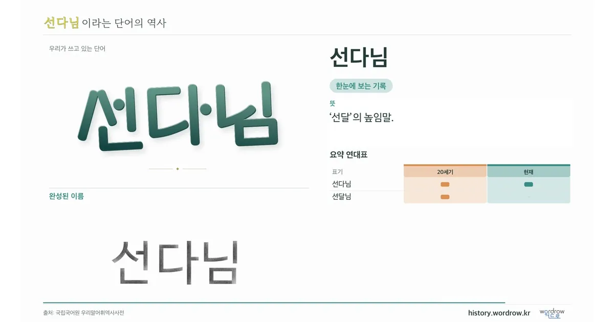 선다님 대표 이미지
