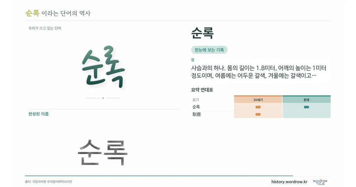 순록 대표 이미지