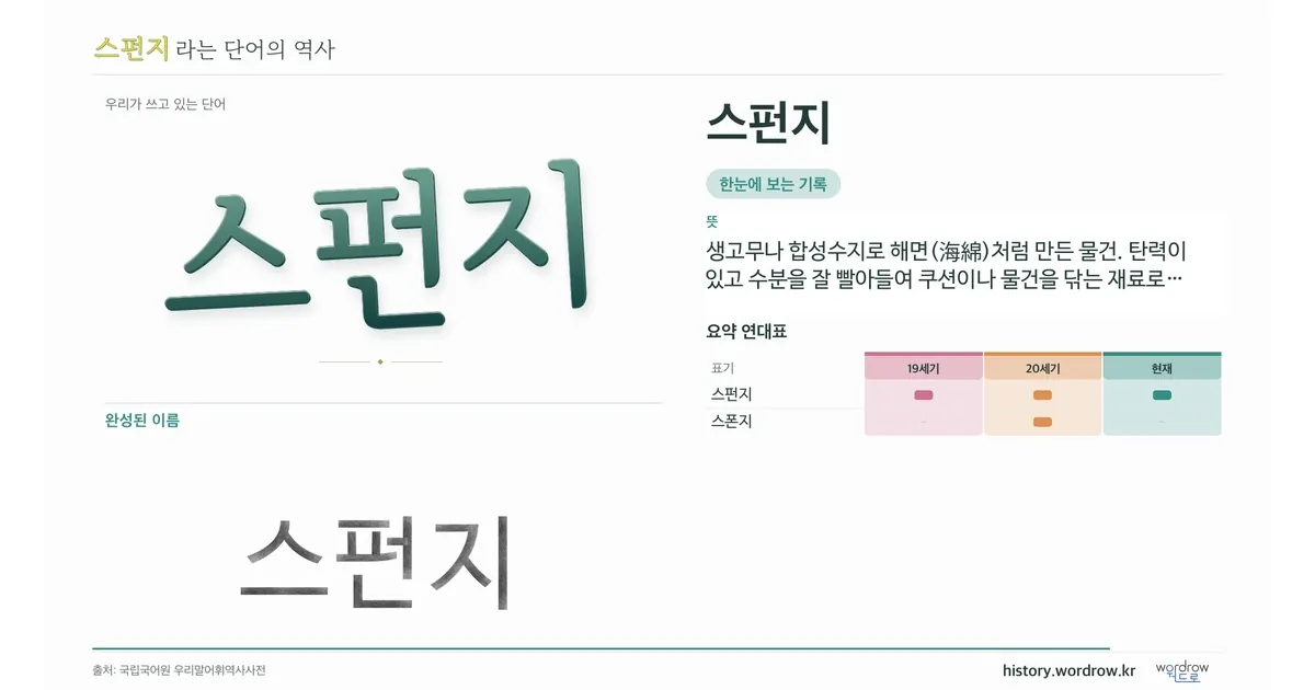 스펀지 대표 이미지
