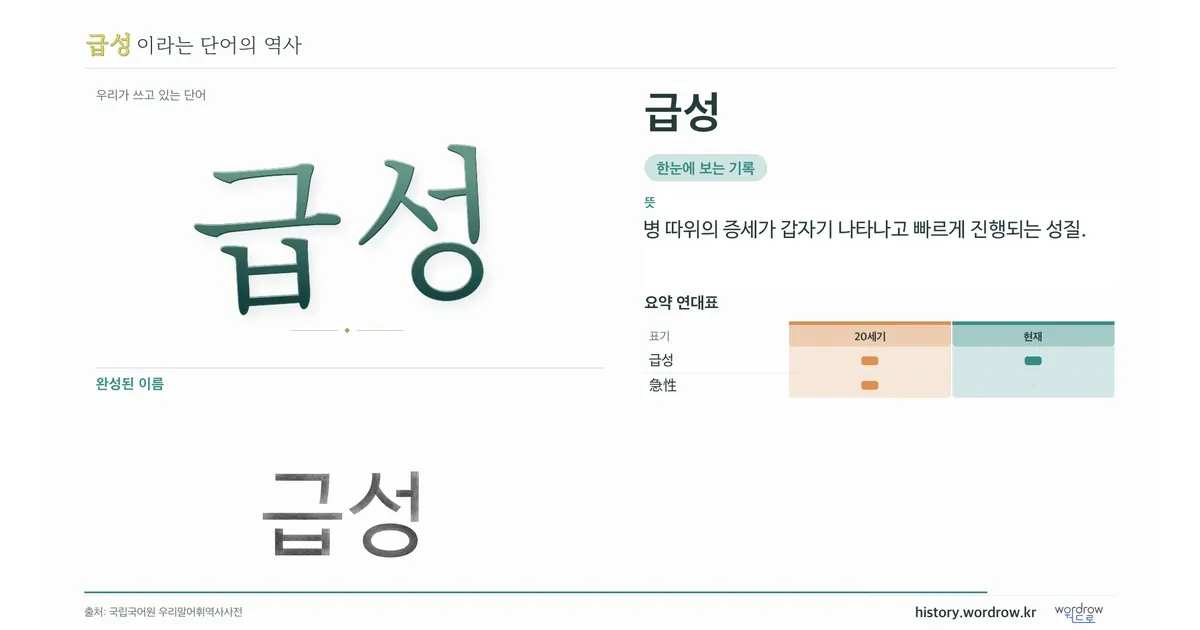 급성 대표 이미지