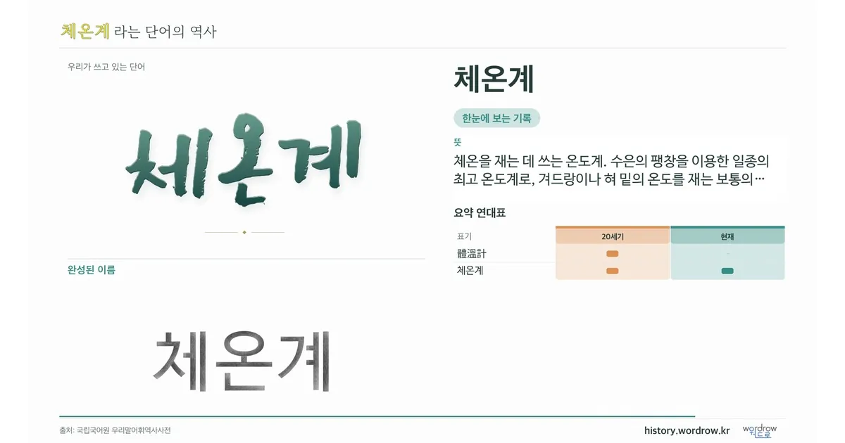 체온계 대표 이미지