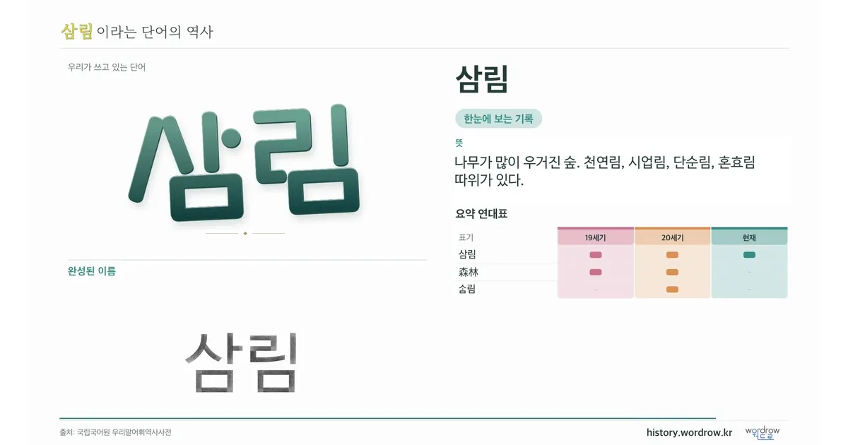 삼림 대표 이미지