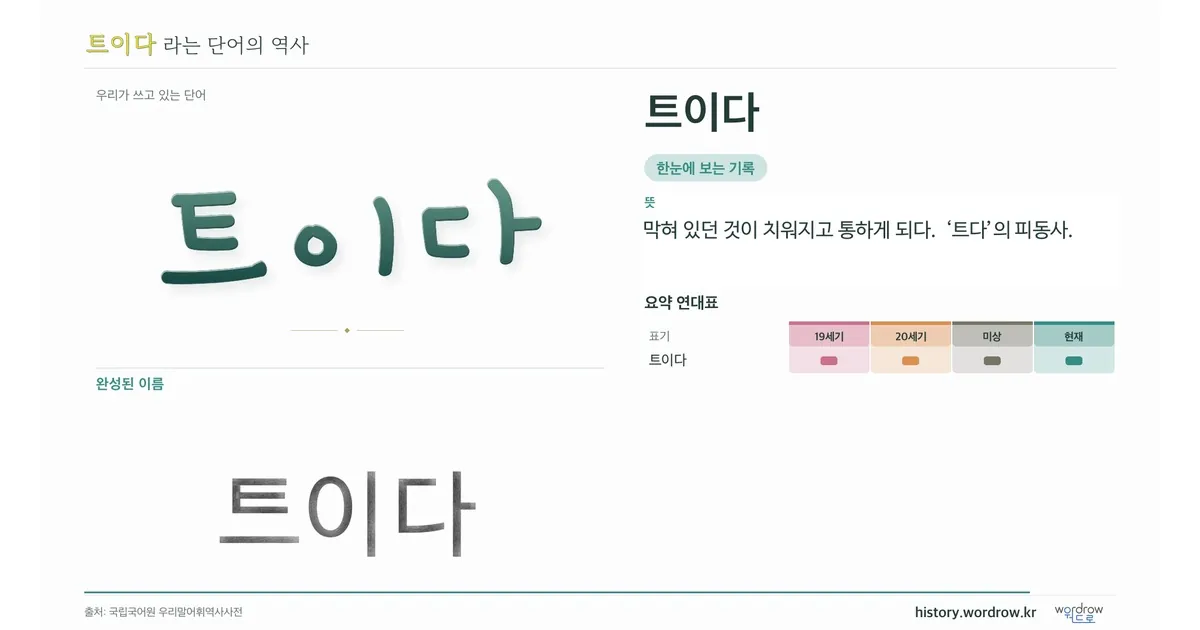 트이다 대표 이미지