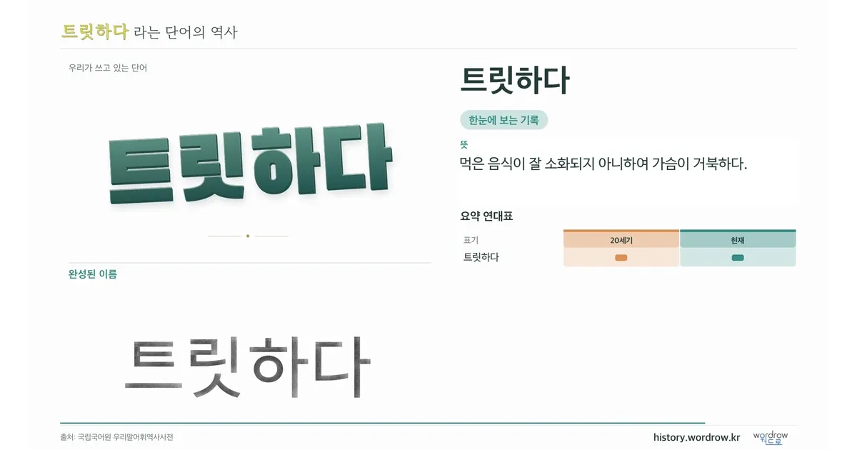 트릿하다 대표 이미지