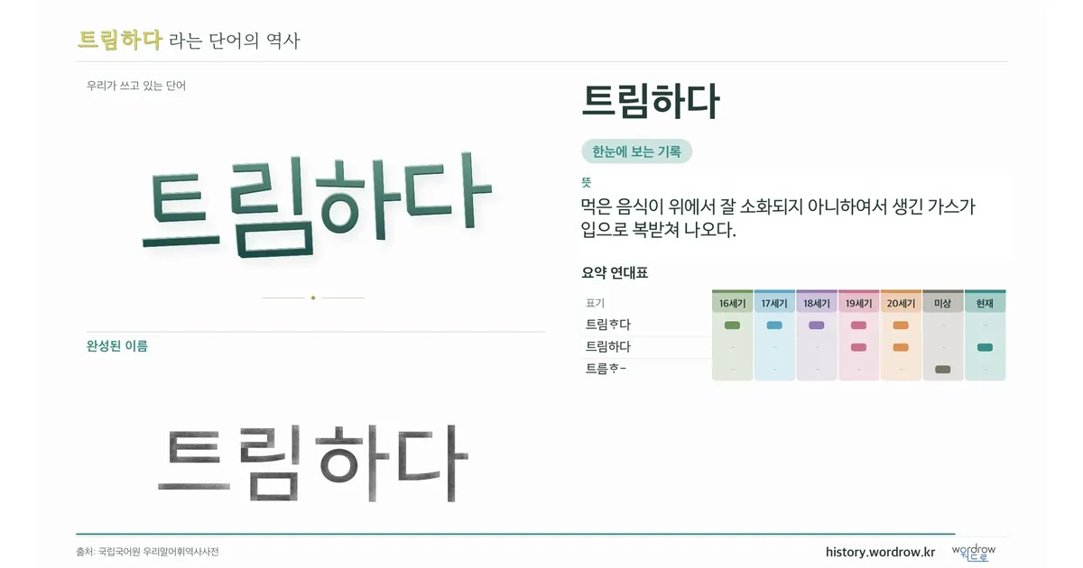 트림하다 대표 이미지