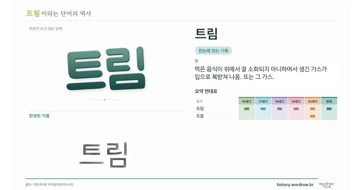 트림 대표 이미지
