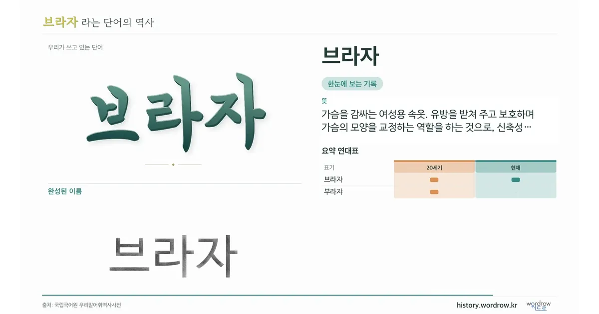 브라자 대표 이미지